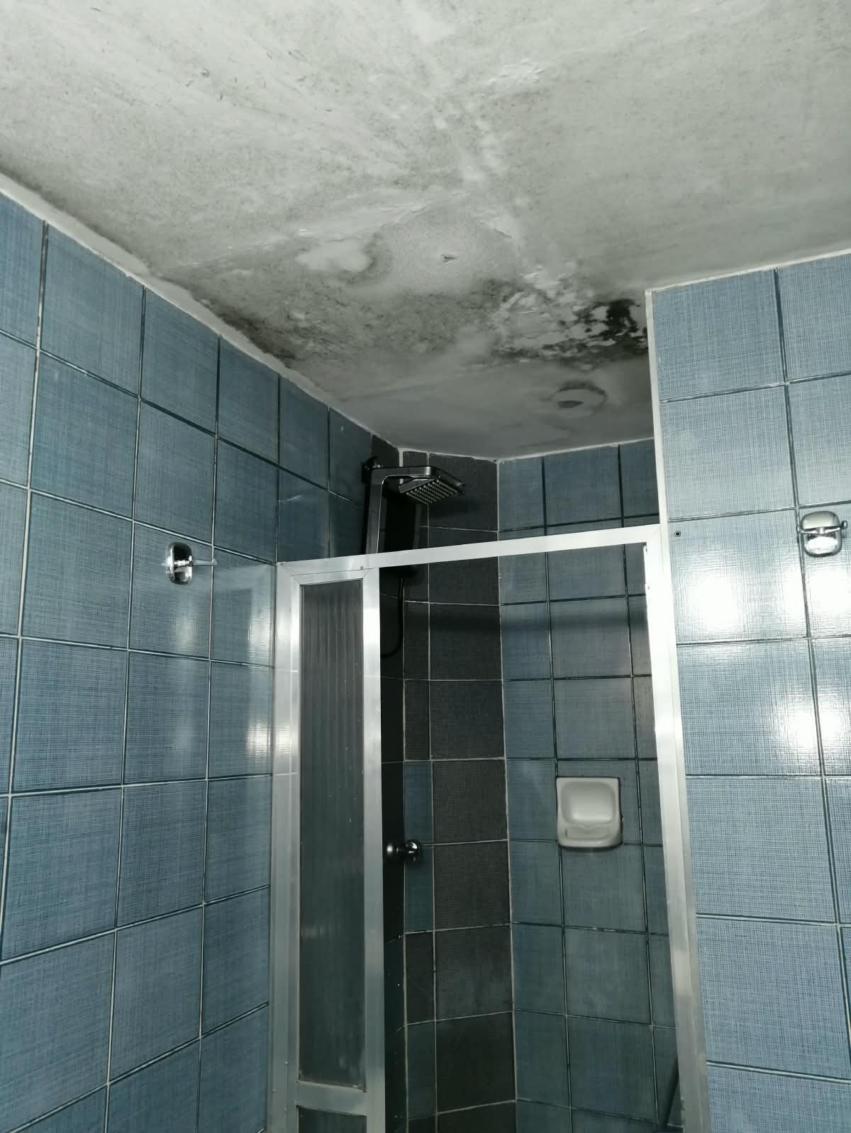 Teto do banheiro antes do serviço, com infiltração e mofo generalizado